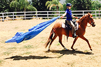 Jody's student learning how to improve gaits through riding instruction for gaited horses