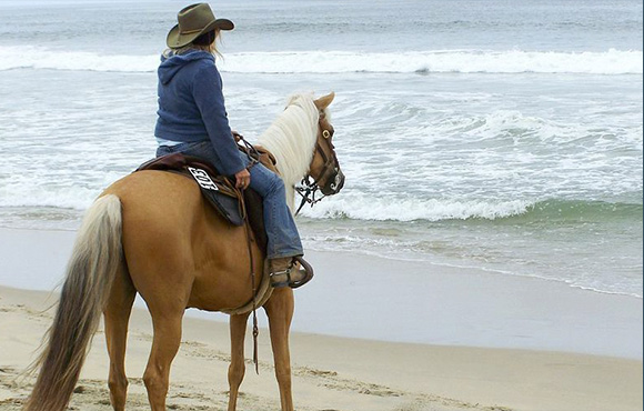 Jody on horse by ocean